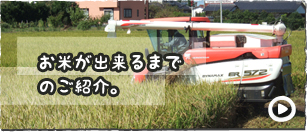 お米が出来るまでのご紹介。