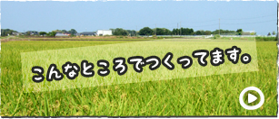 こんなところでつくってます。